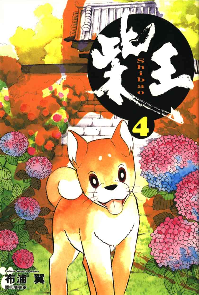 柴王 - VOL04 - 第2张图