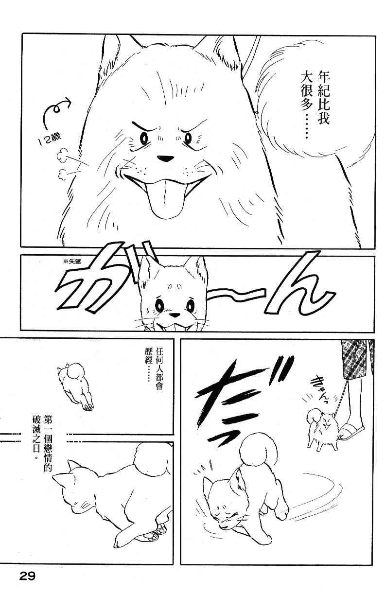 柴王 - VOL04 - 第31张图