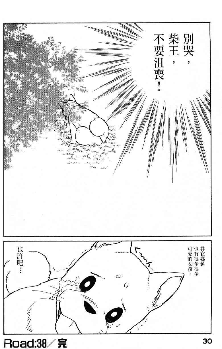 柴王 - VOL04 - 第32张图