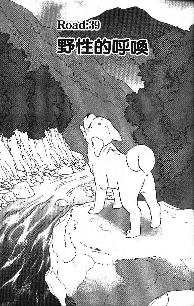 柴王 - VOL04 - 第33张图