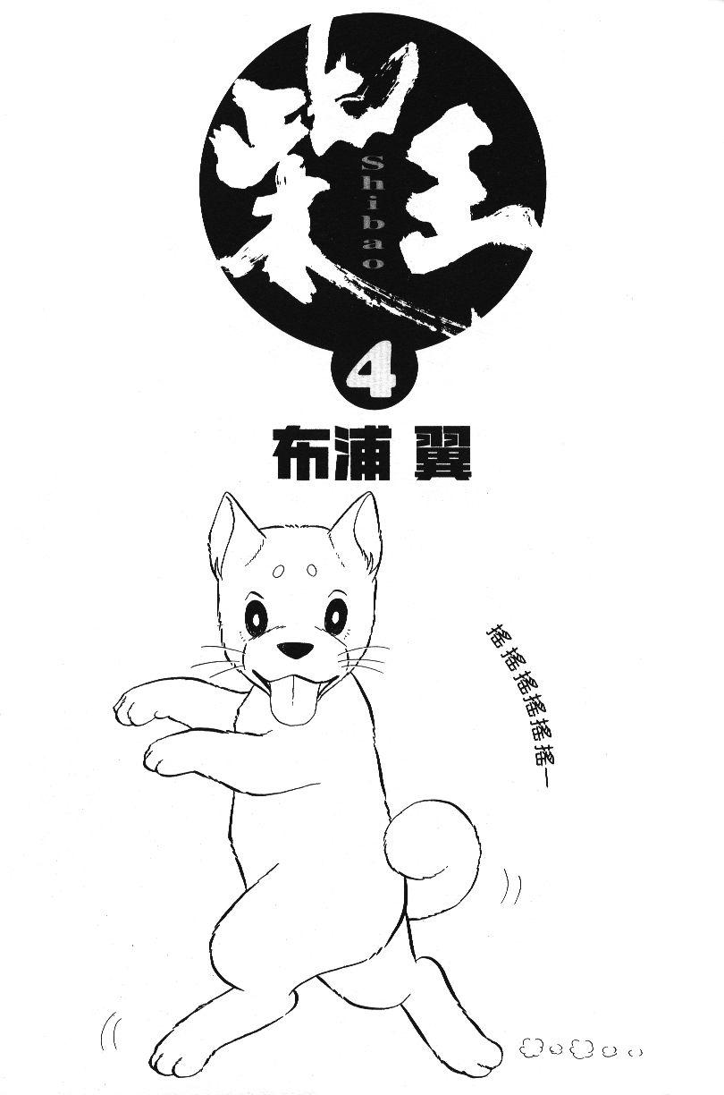 柴王 - VOL04 - 第3张图