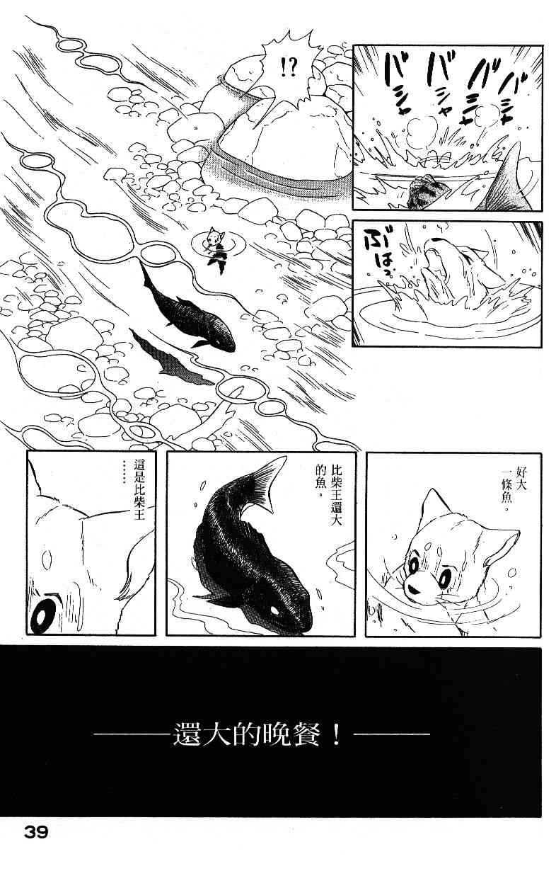 柴王 - VOL04 - 第41张图