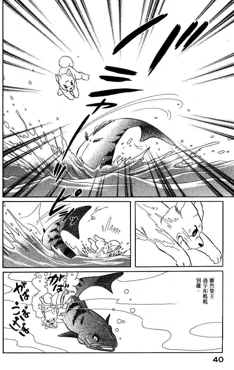 柴王 - VOL04 - 第42张图