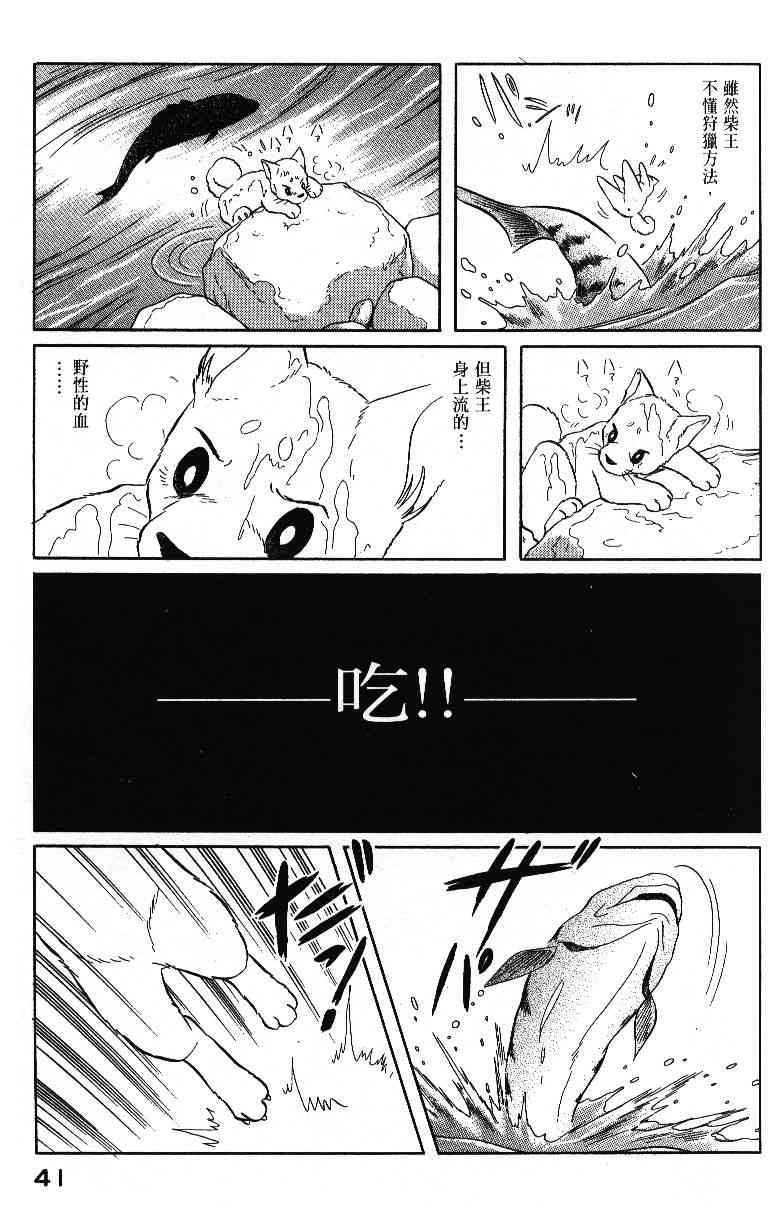 柴王 - VOL04 - 第43张图