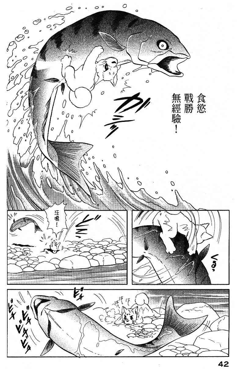 柴王 - VOL04 - 第44张图