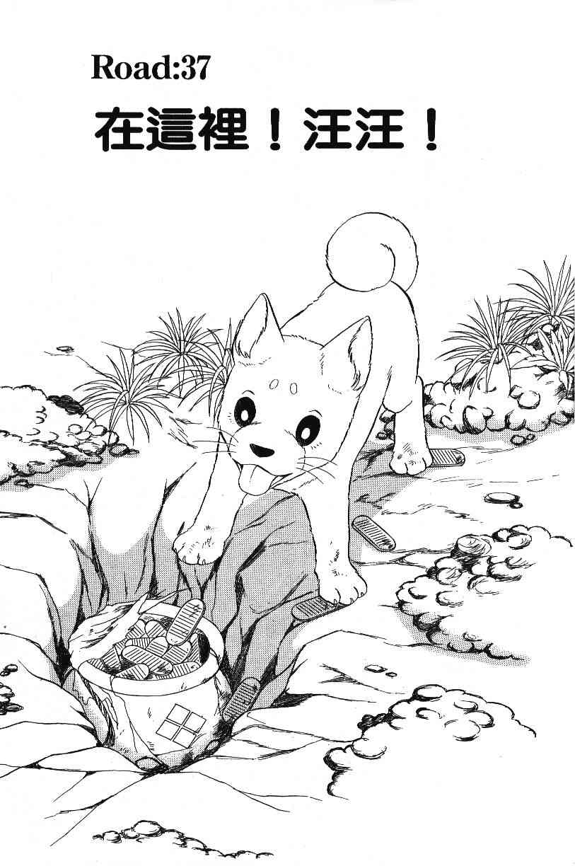 柴王 - VOL04 - 第5张图