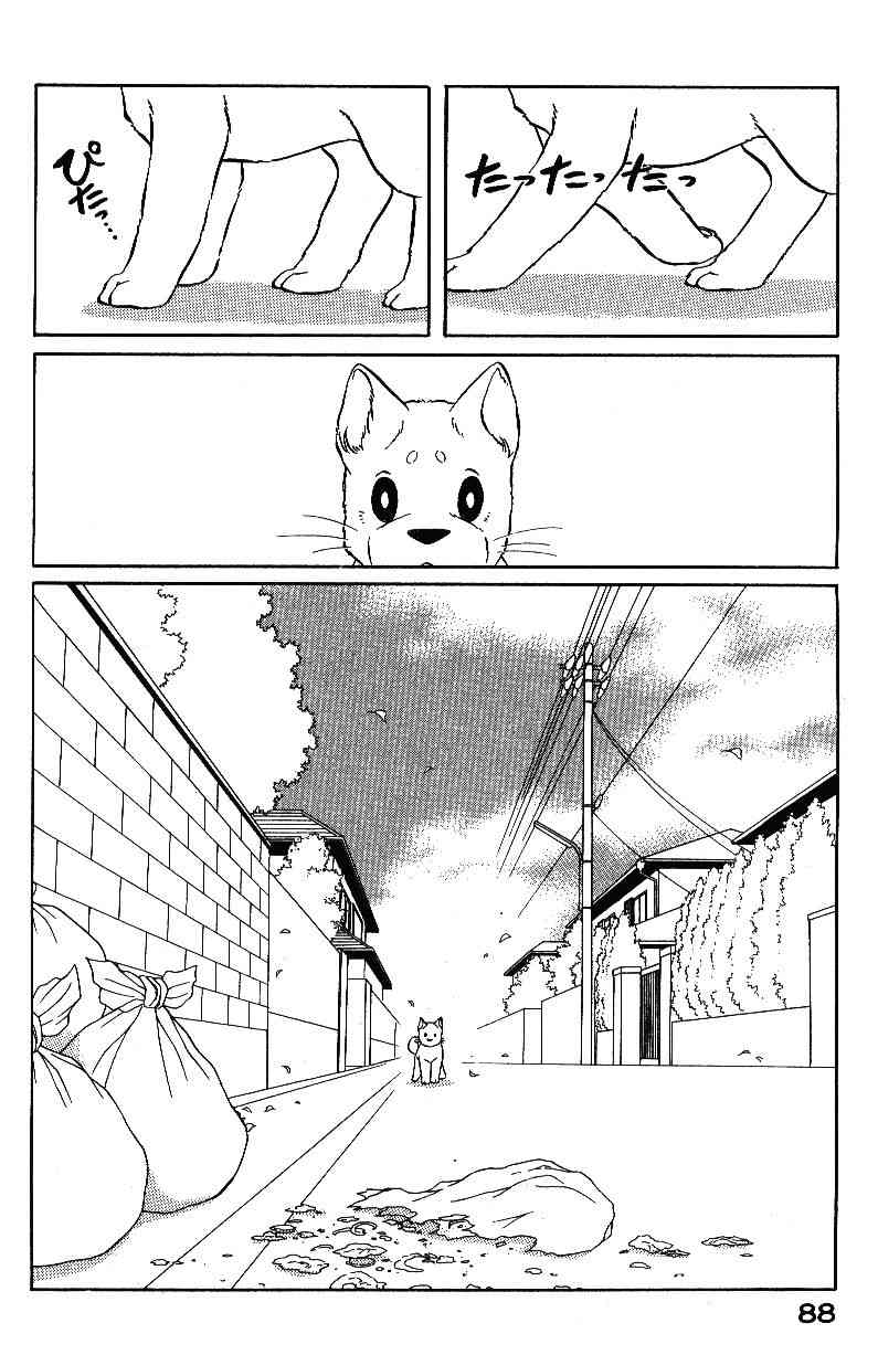 柴王 - VOL04 - 第90张图