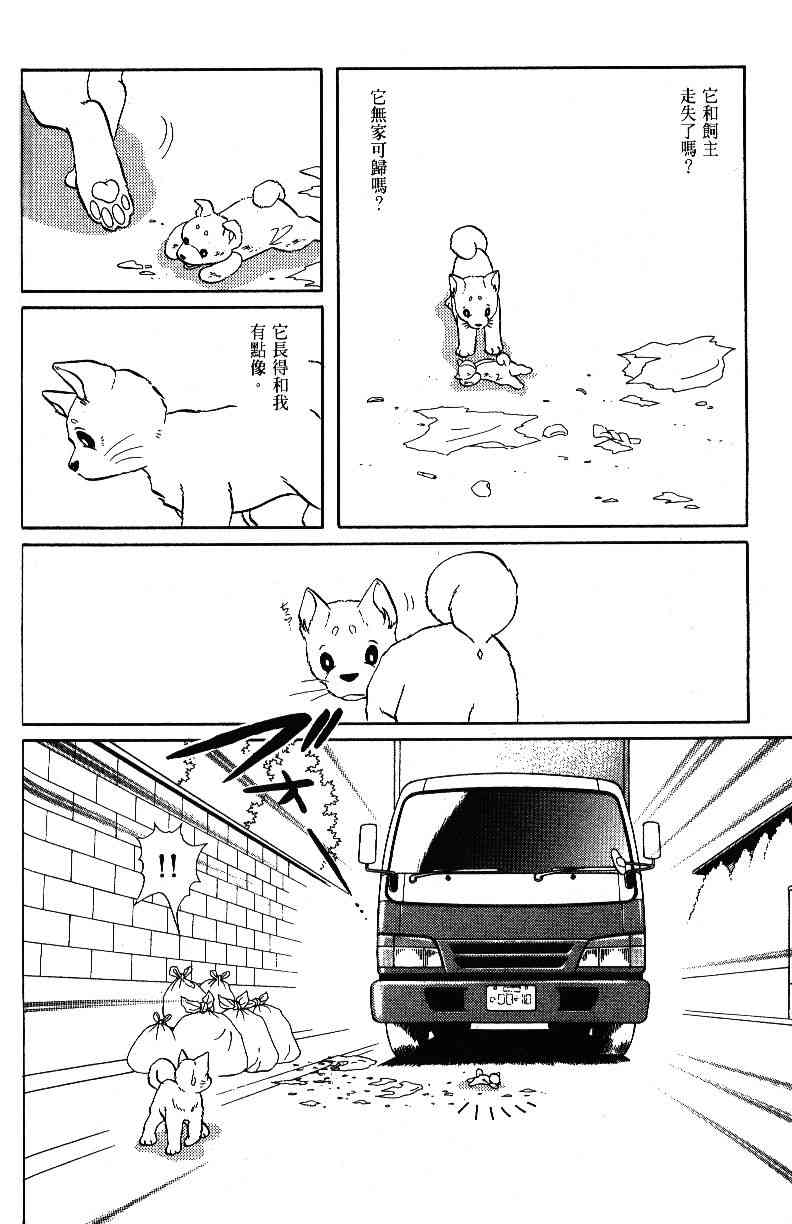 柴王 - VOL04 - 第92张图