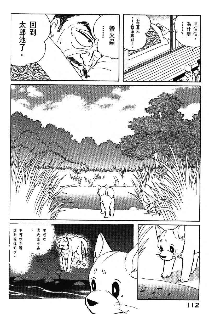 柴王 - VOL06 - 第115张图