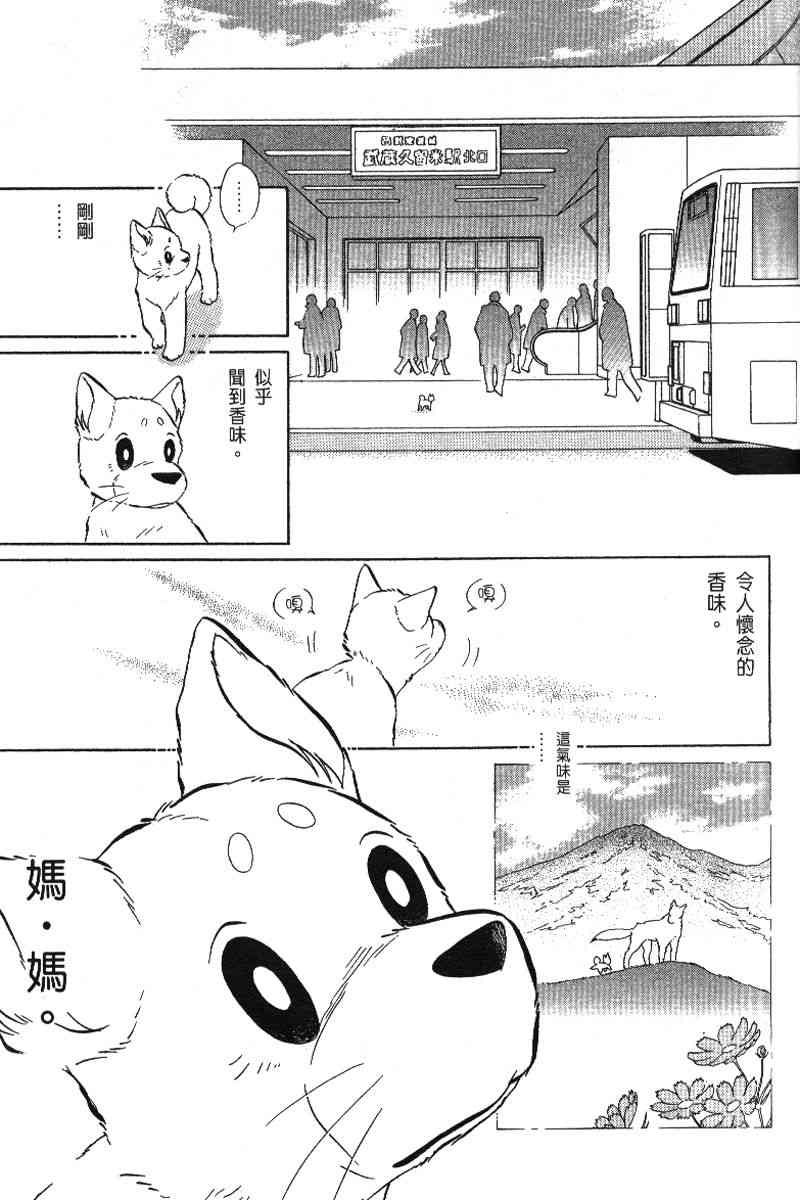 柴王 - VOL06 - 第122张图