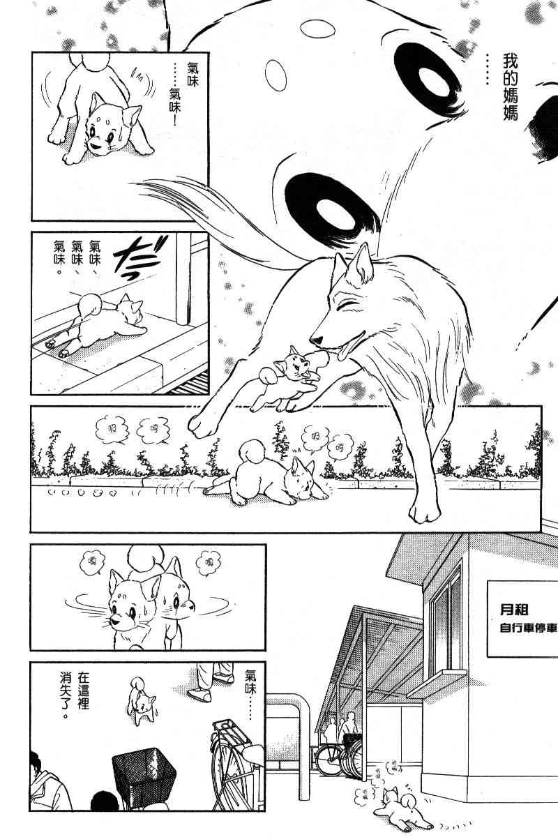 柴王 - VOL06 - 第123张图