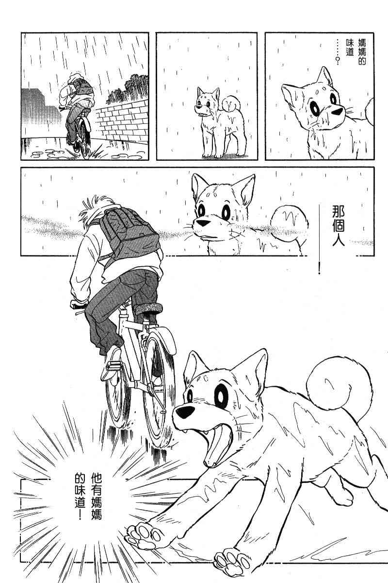 柴王 - VOL06 - 第129张图