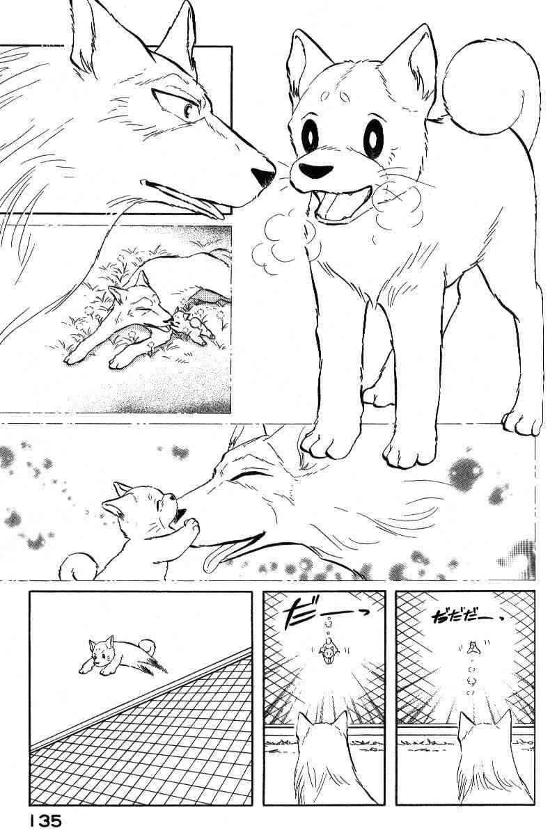 柴王 - VOL06 - 第138张图