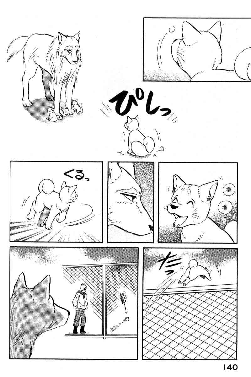 柴王 - VOL06 - 第143张图