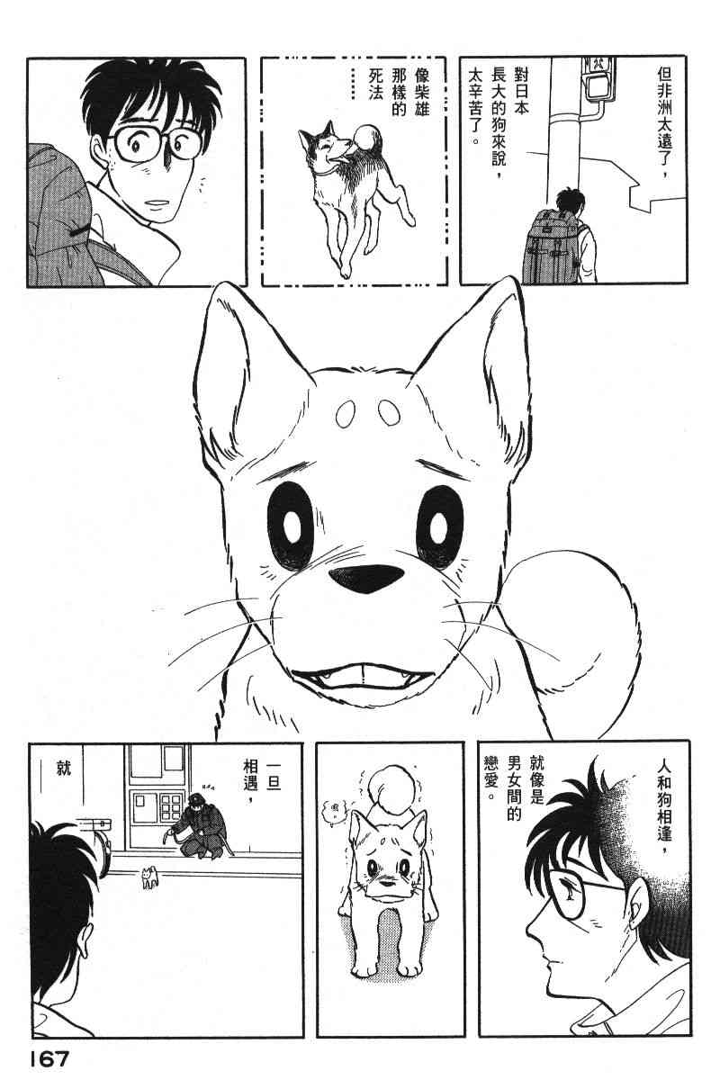 柴王 - VOL06 - 第170张图