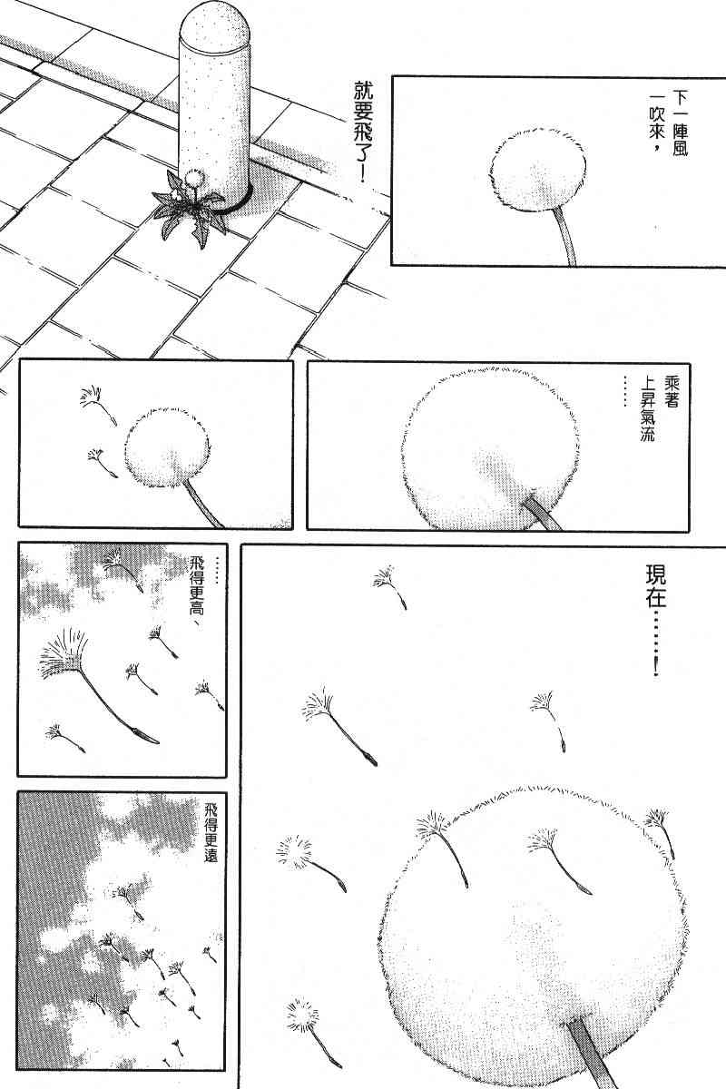 柴王 - VOL06 - 第21张图