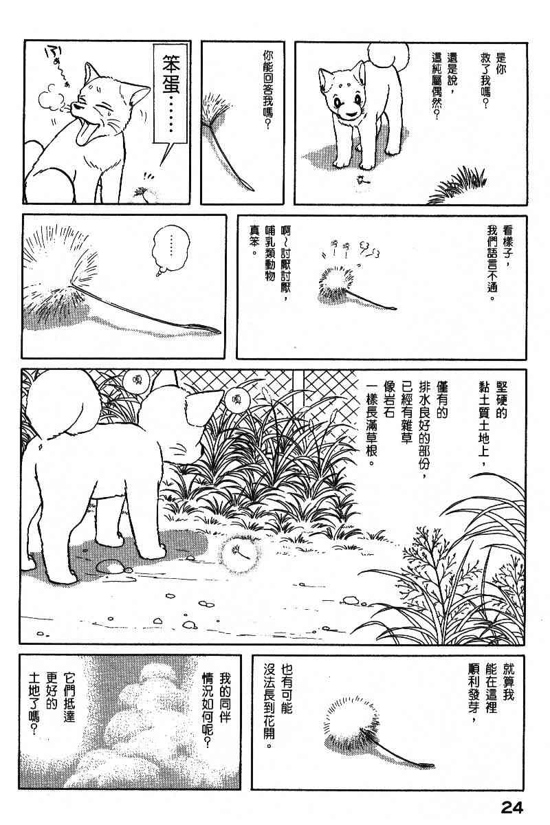 柴王 - VOL06 - 第27张图
