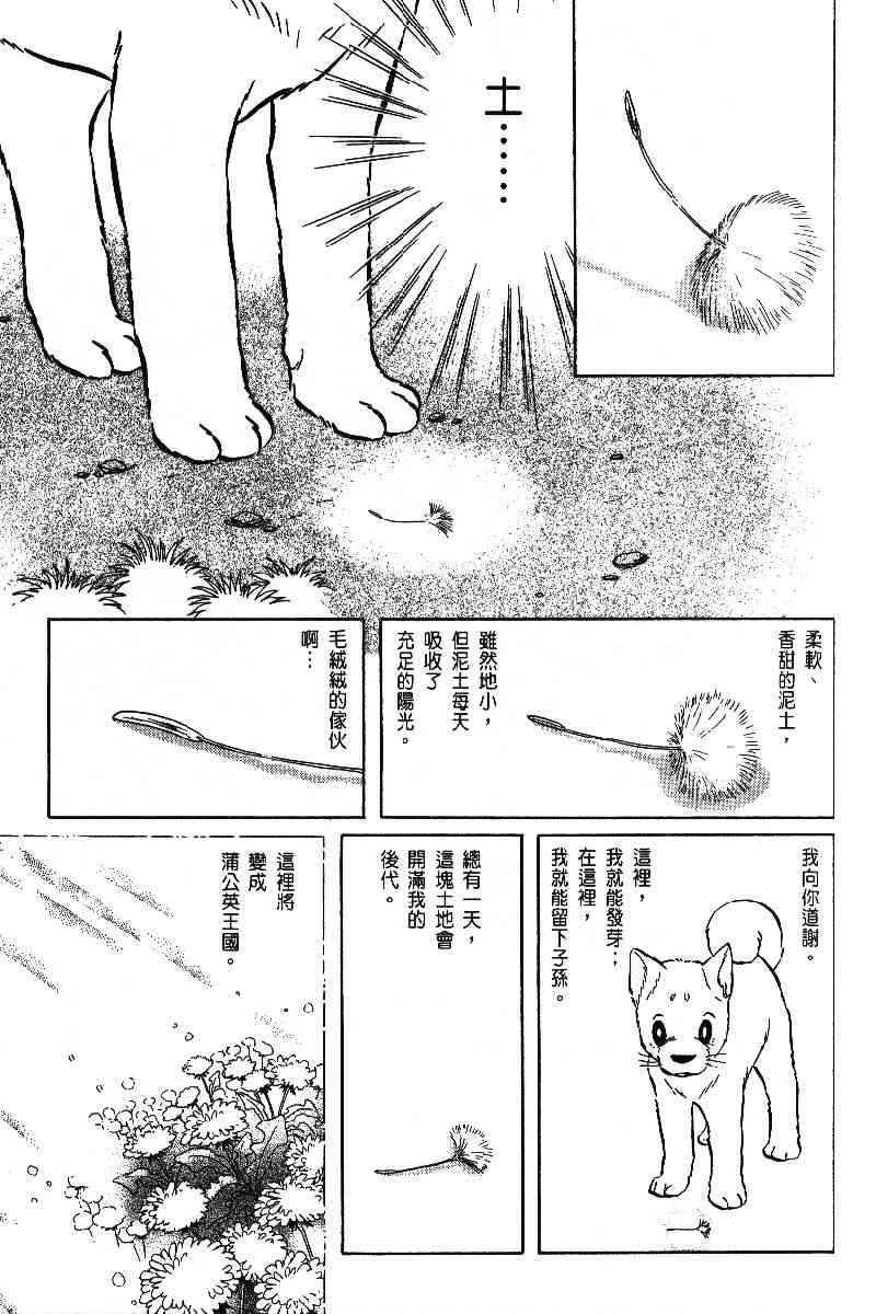 柴王 - VOL06 - 第32张图