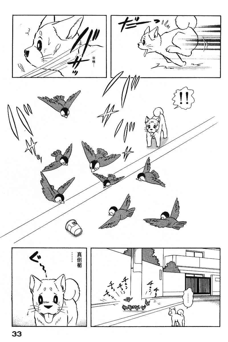 柴王 - VOL06 - 第36张图