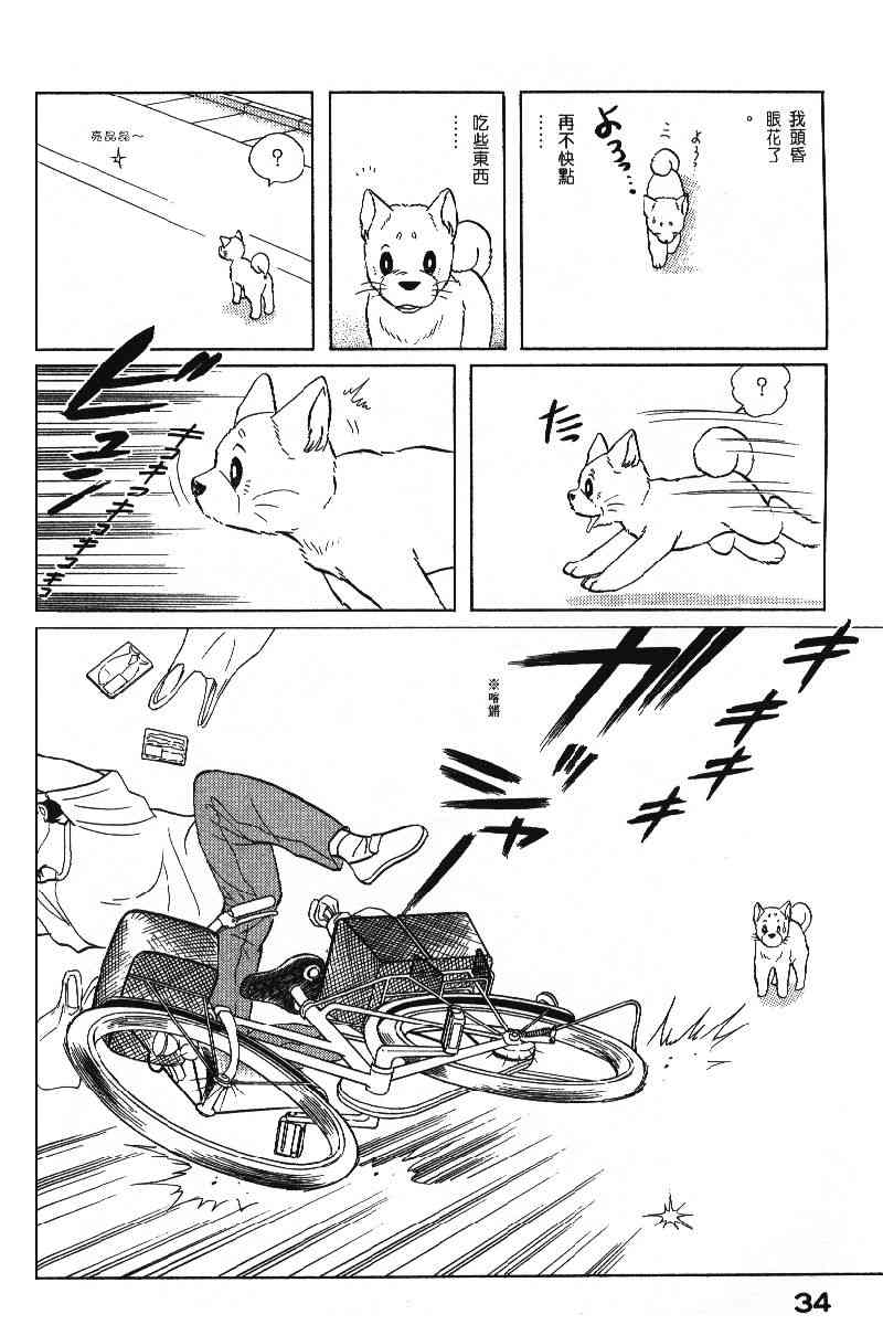 柴王 - VOL06 - 第37张图