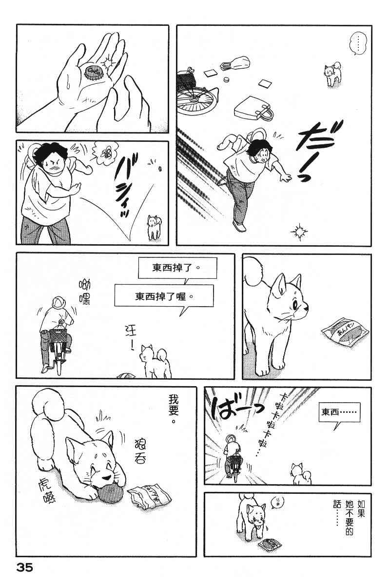 柴王 - VOL06 - 第38张图