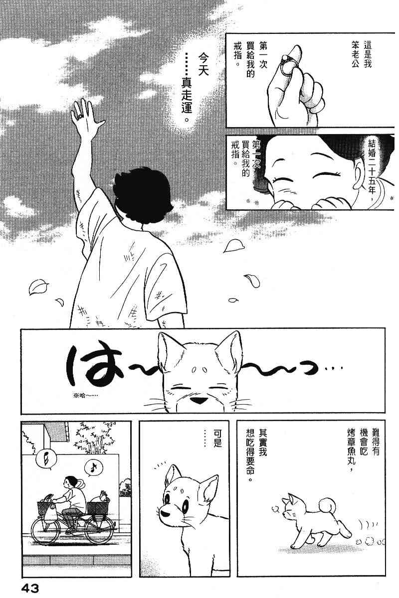 柴王 - VOL06 - 第46张图