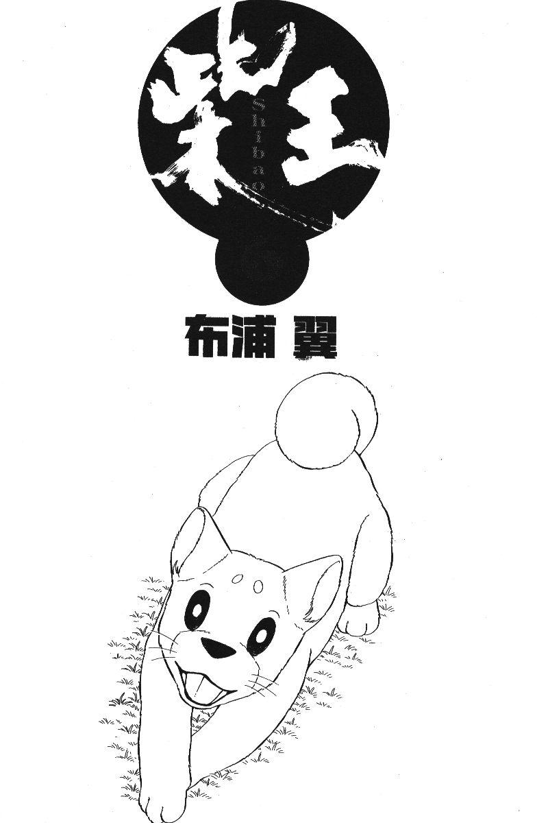 柴王 - VOL06 - 第4张图