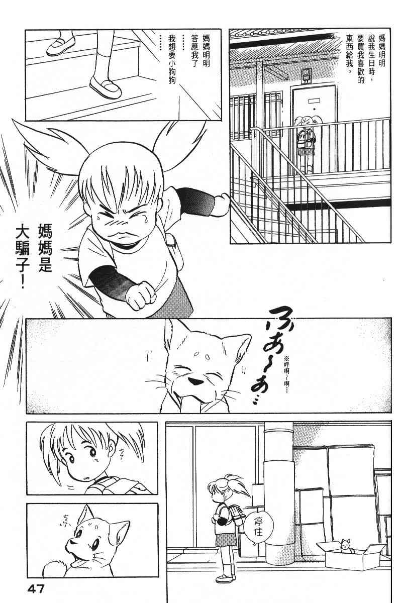 柴王 - VOL06 - 第50张图