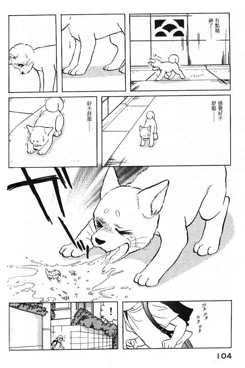 柴王 - VOL05 - 第107张图