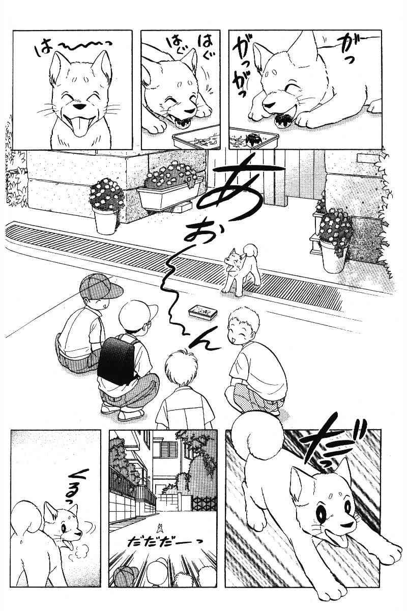 柴王 - VOL05 - 第115张图