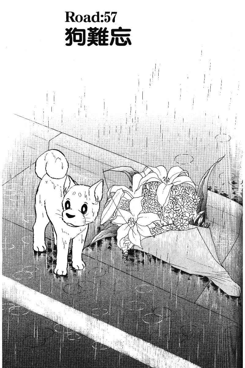 柴王 - VOL05 - 第118张图