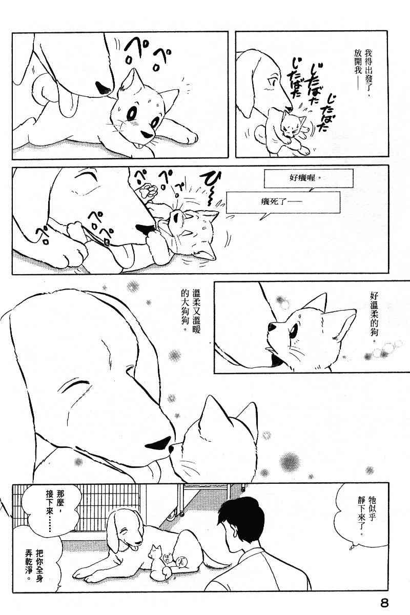 柴王 - VOL05 - 第11张图