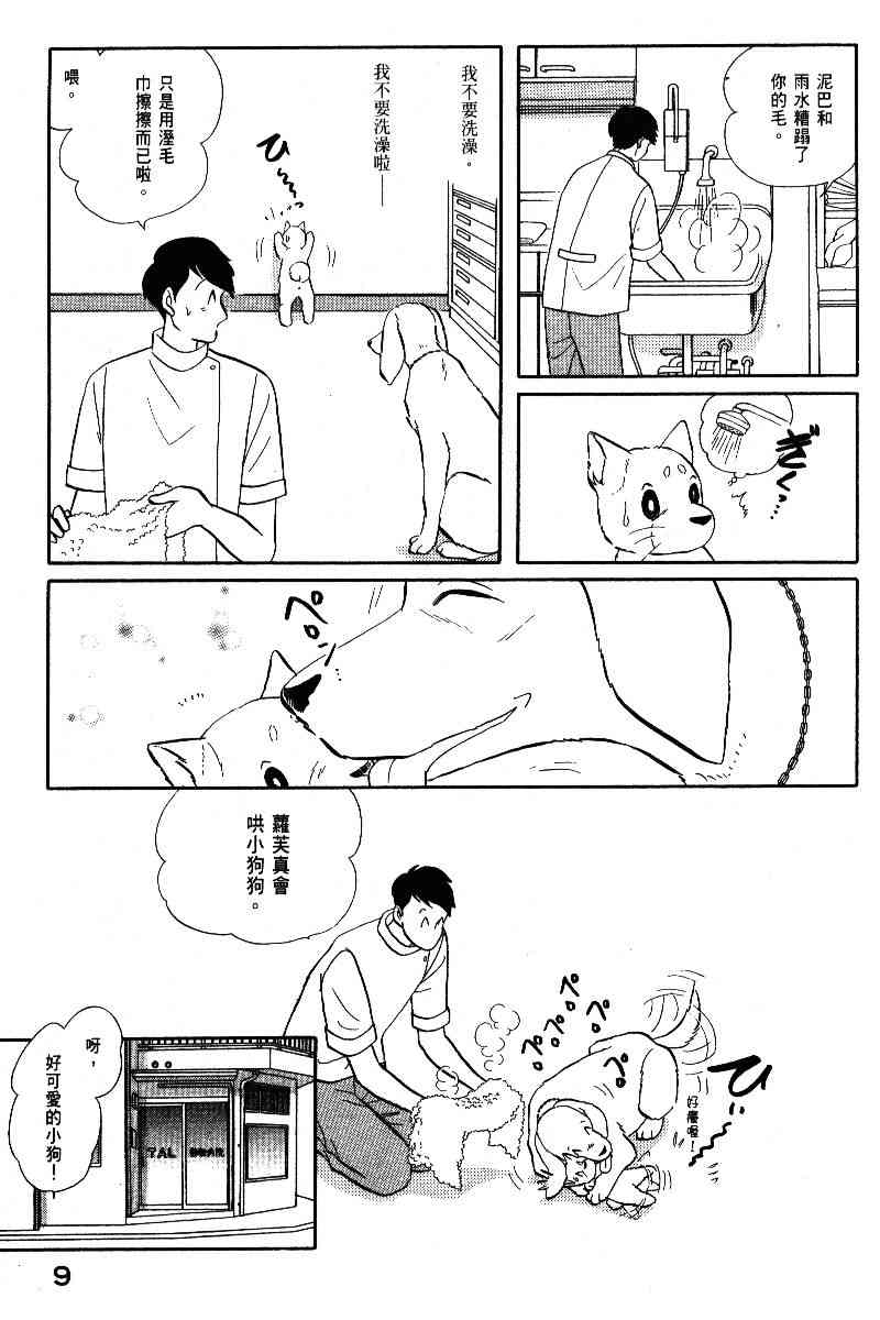 柴王 - VOL05 - 第12张图