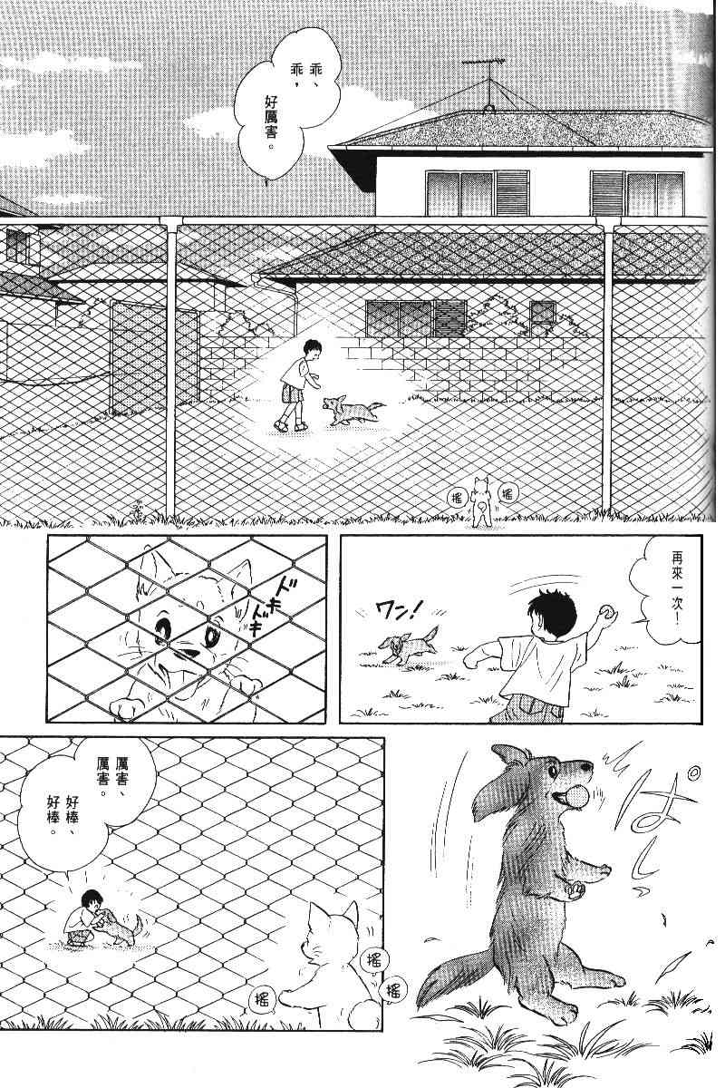 柴王 - VOL05 - 第134张图