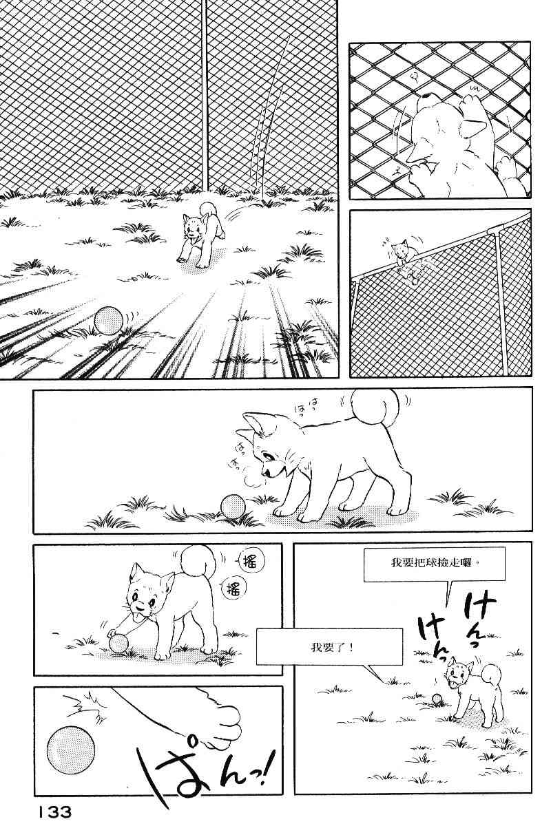 柴王 - VOL05 - 第136张图