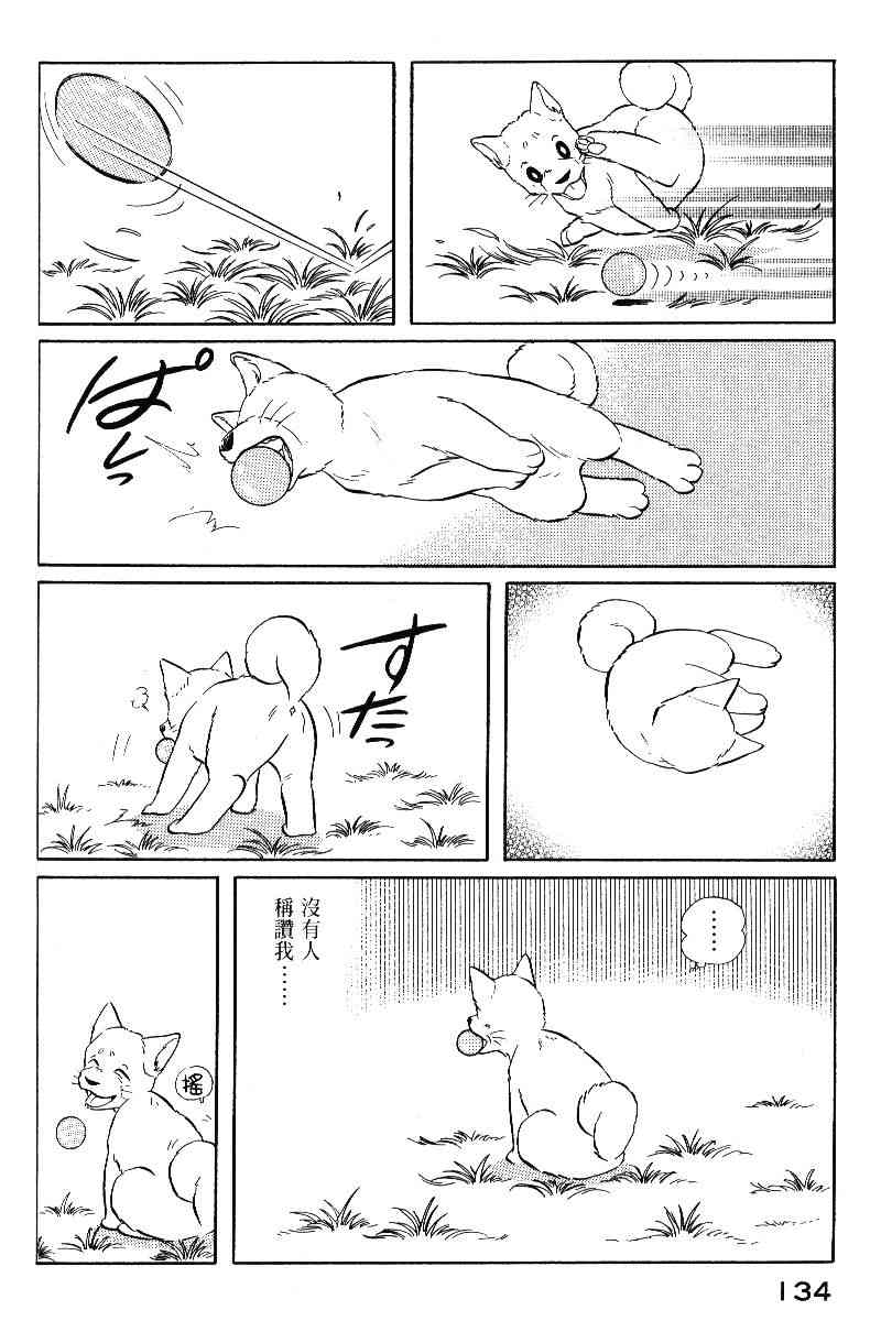 柴王 - VOL05 - 第137张图