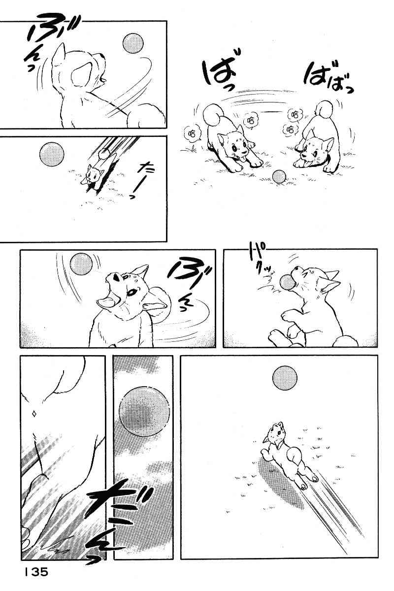 柴王 - VOL05 - 第138张图