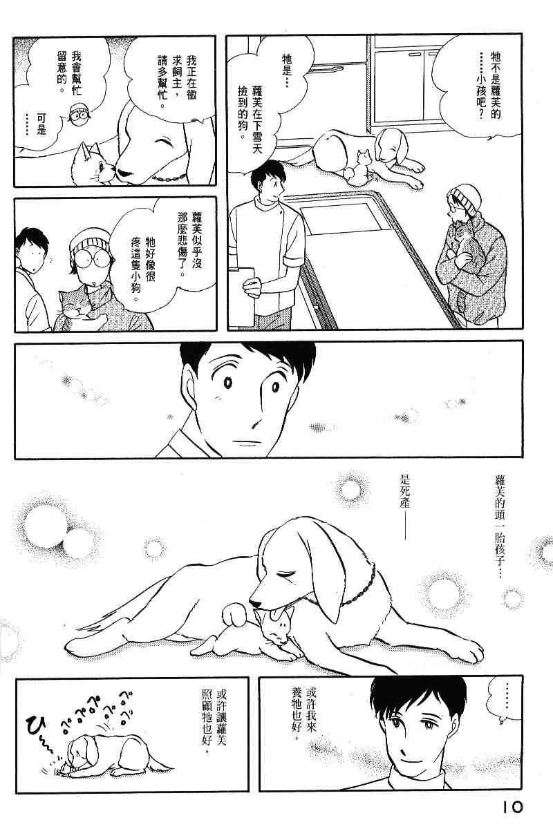 柴王 - VOL05 - 第13张图