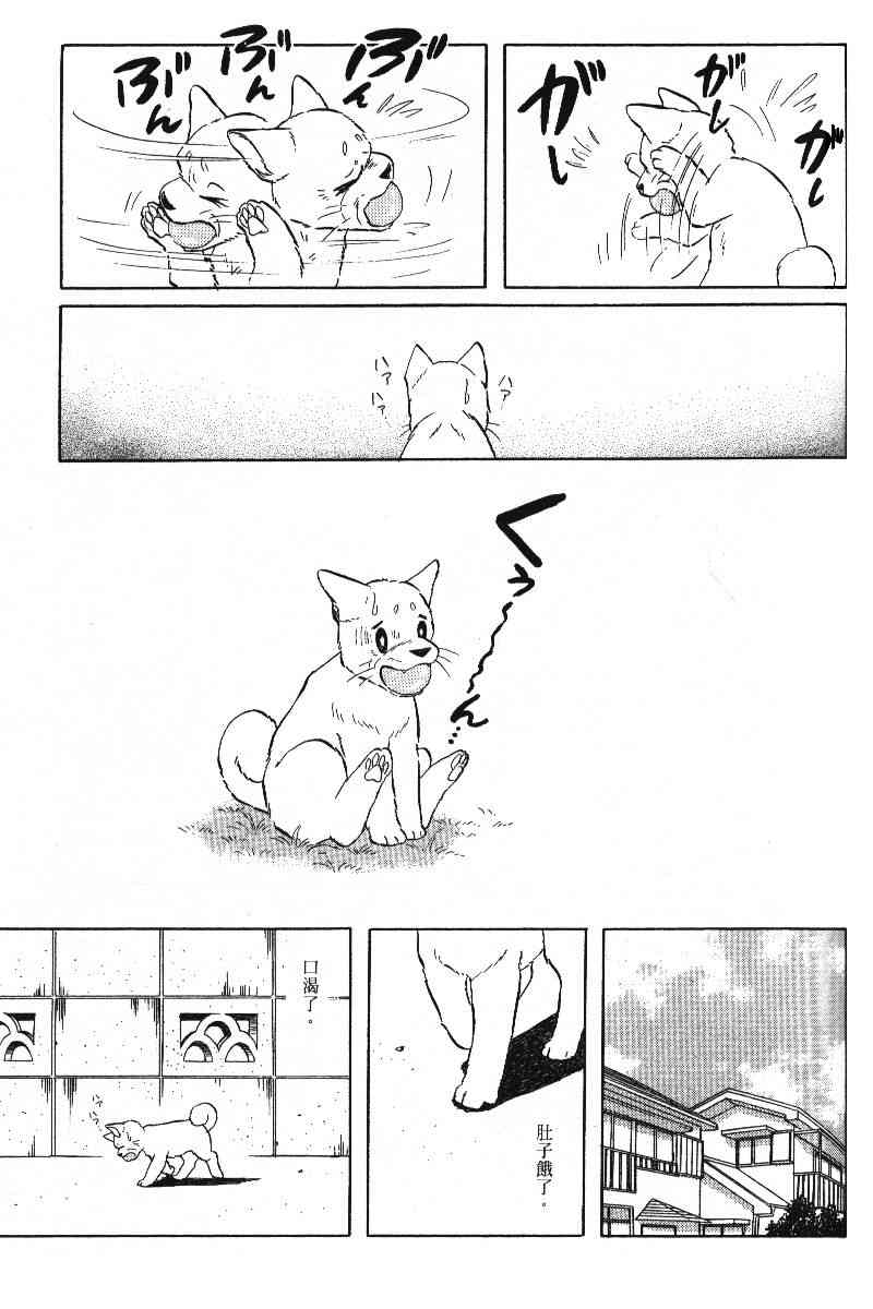 柴王 - VOL05 - 第140张图