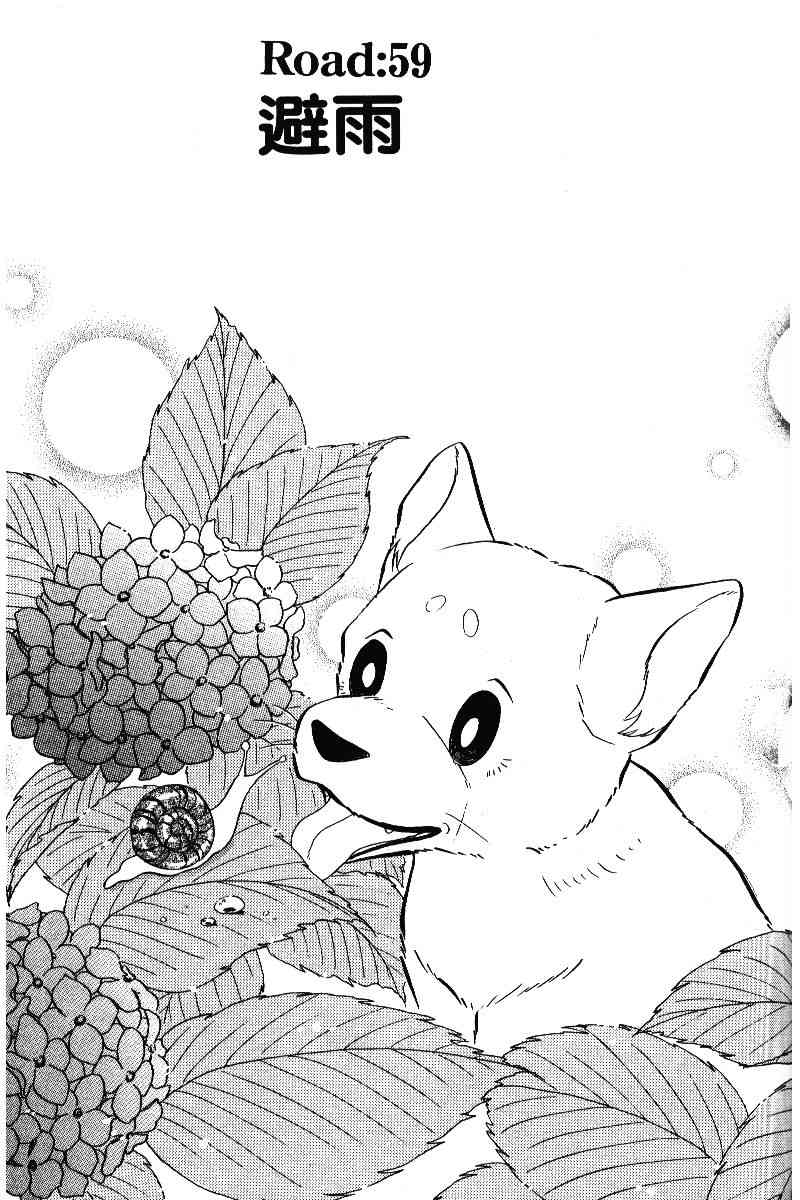 柴王 - VOL05 - 第146张图