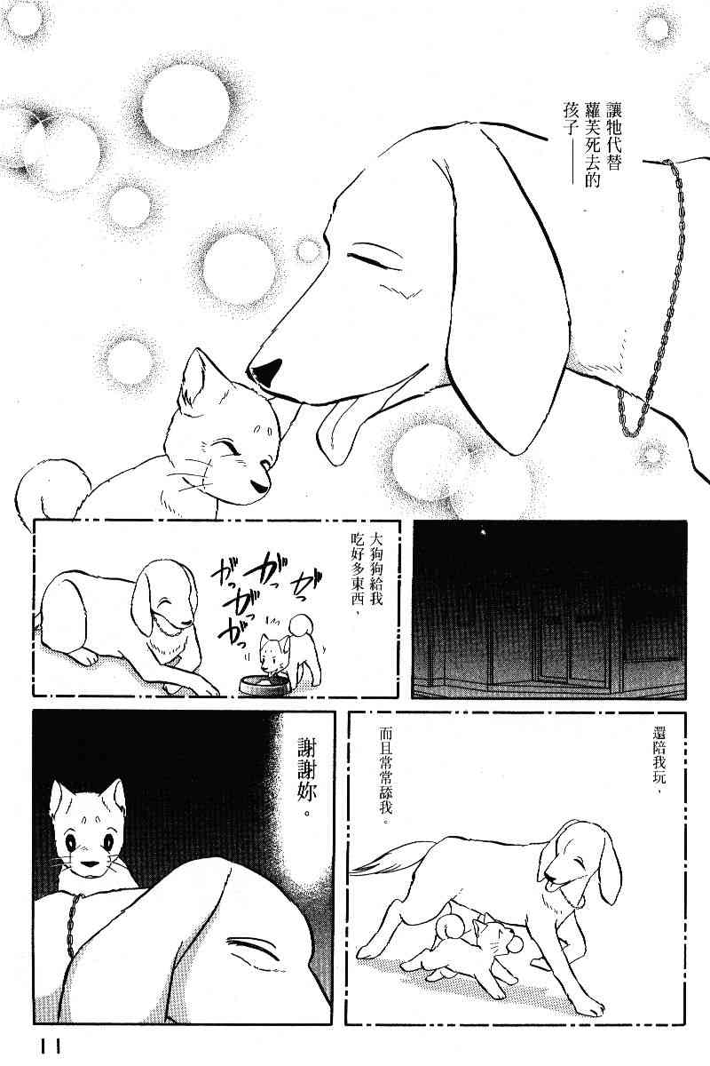 柴王 - VOL05 - 第14张图