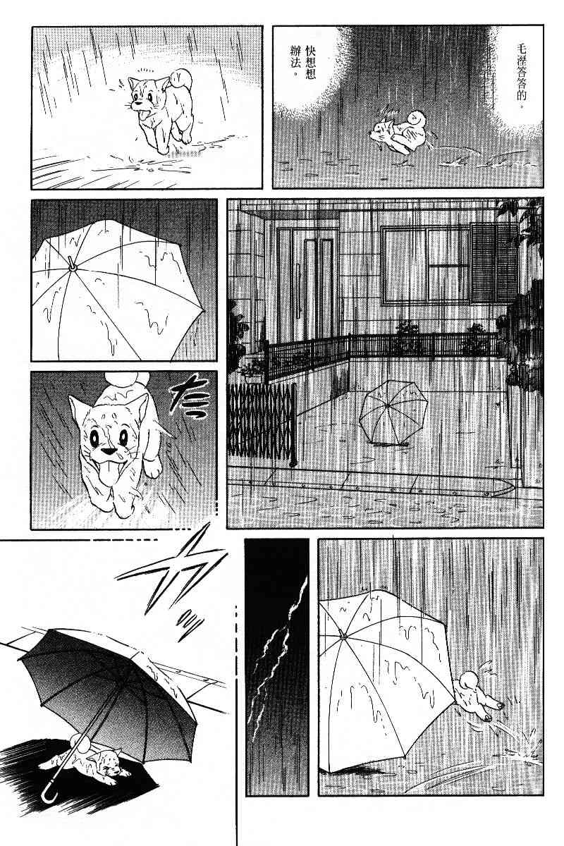 柴王 - VOL05 - 第150张图