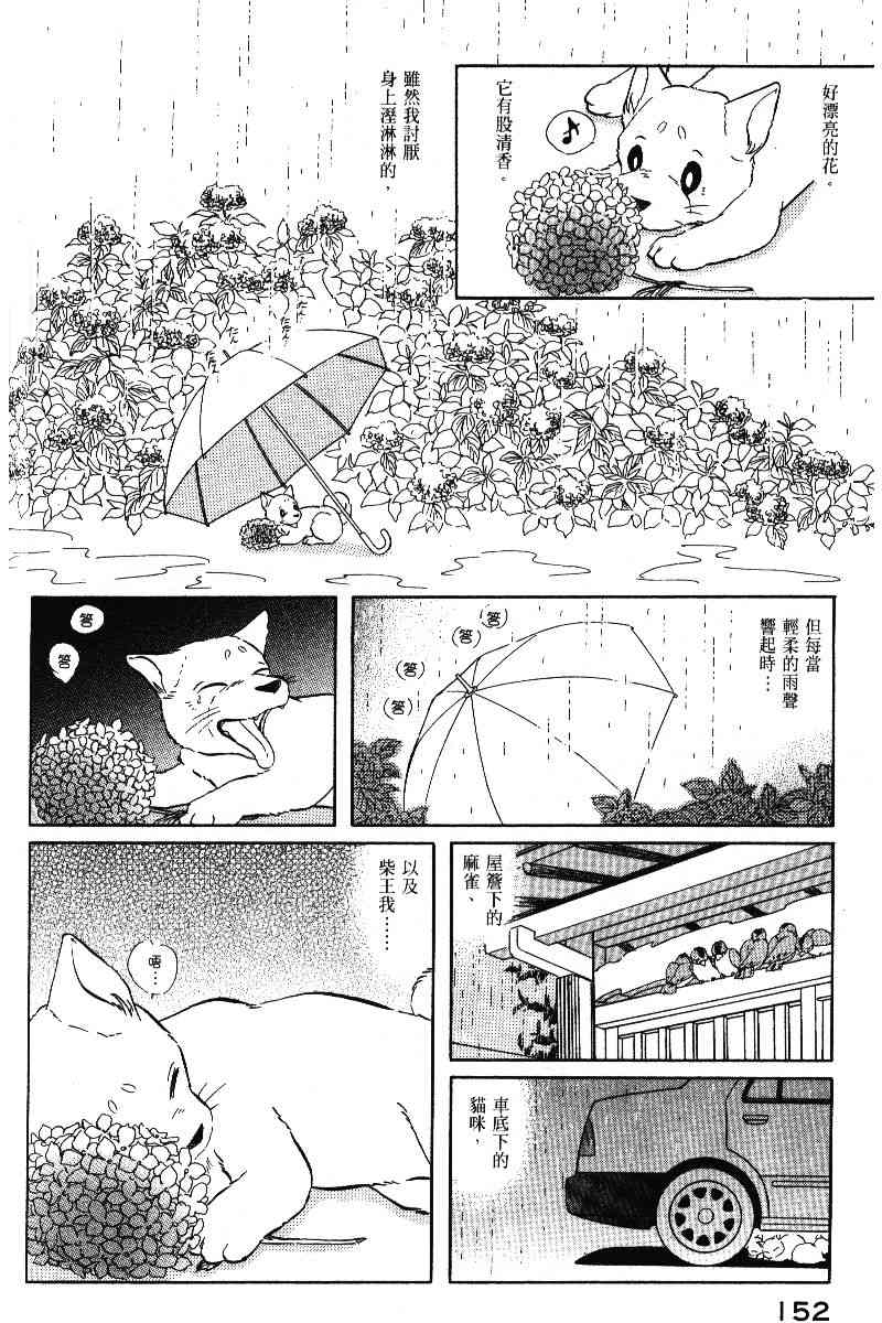 柴王 - VOL05 - 第155张图