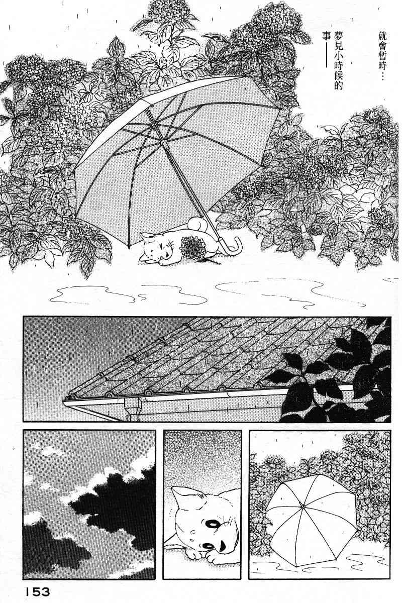 柴王 - VOL05 - 第156张图