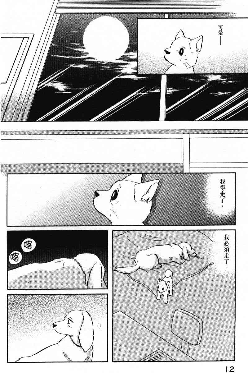 柴王 - VOL05 - 第15张图