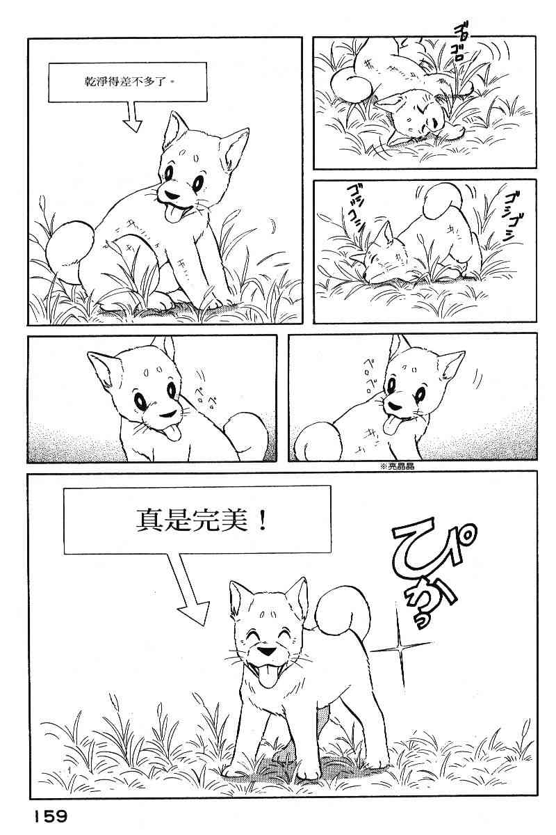 柴王 - VOL05 - 第162张图