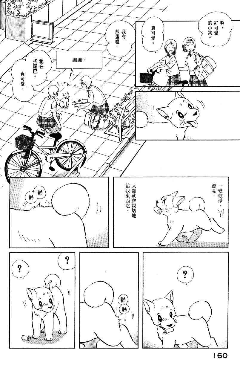 柴王 - VOL05 - 第163张图