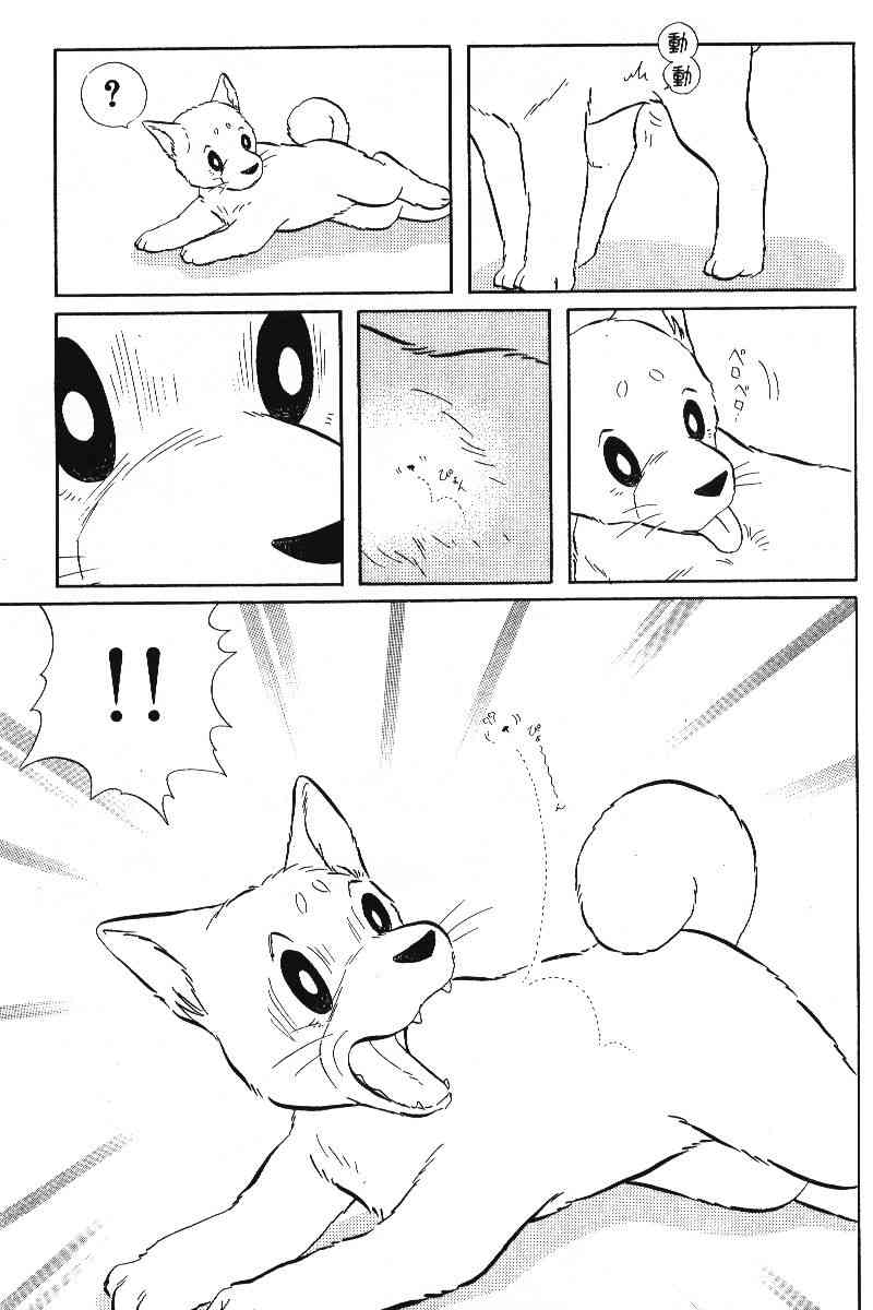 柴王 - VOL05 - 第164张图