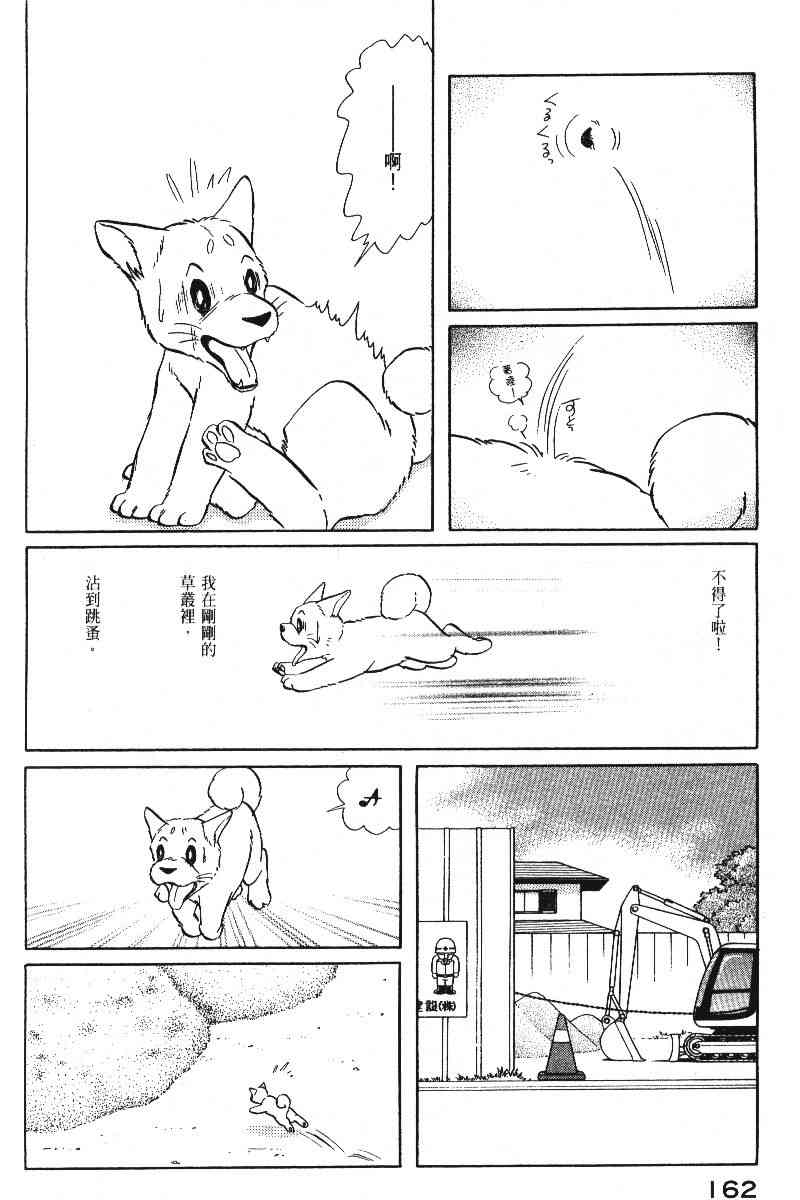 柴王 - VOL05 - 第165张图