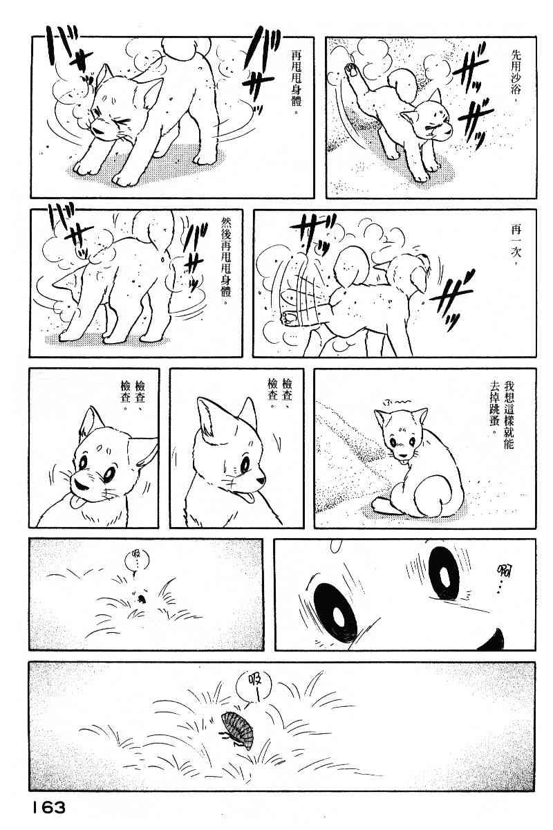 柴王 - VOL05 - 第166张图